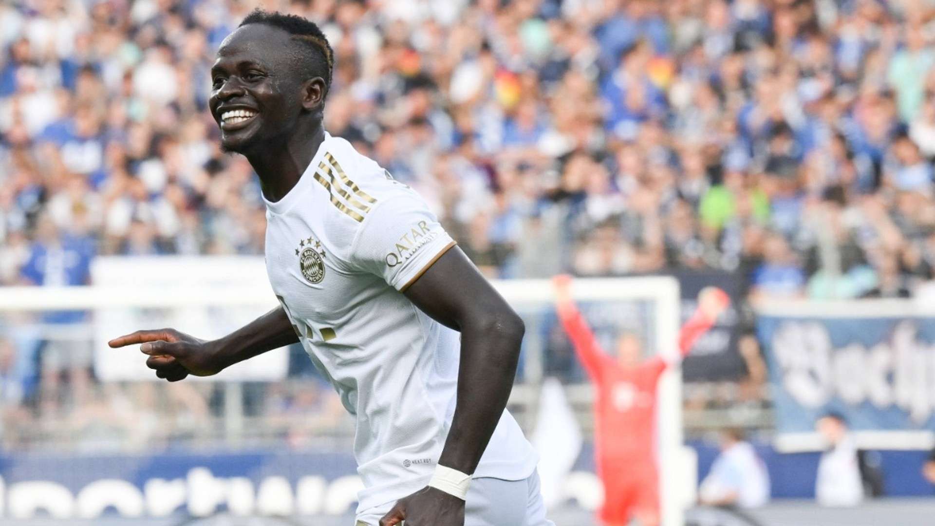 性和他们对 性和他们对