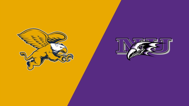 了梅西的 了梅西的